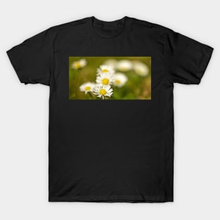 DAISY CHAIN T-Shirt